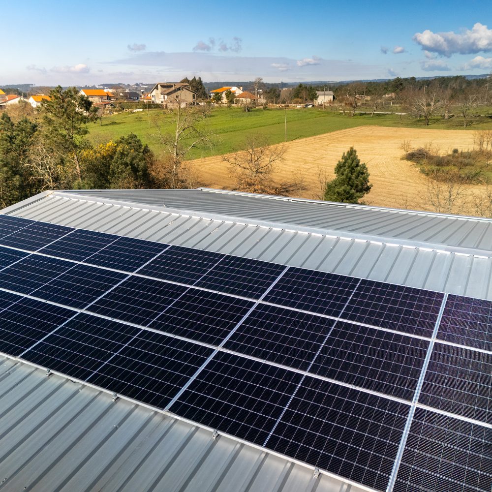 DJI_20250315101159_0316_D