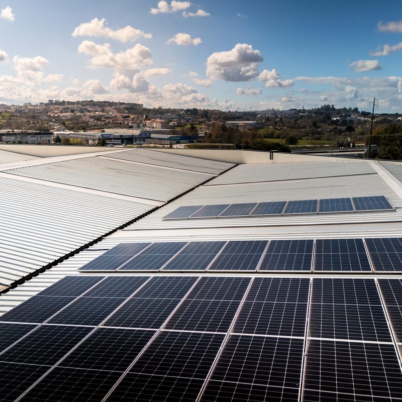 DJI_20250315120738_0361_D